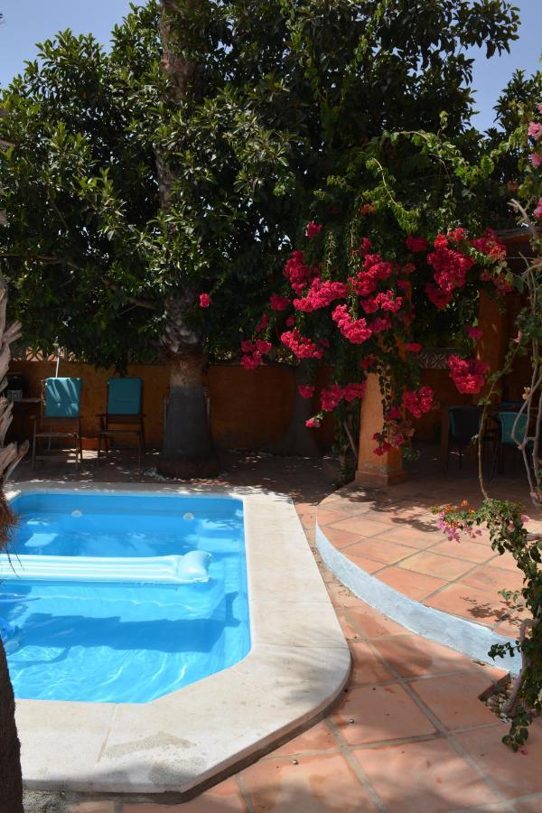 Apartamento Con Jacuzzi Y Terraza Con Opcion A Piscina Privada 阿尔姆尼卡 外观 照片